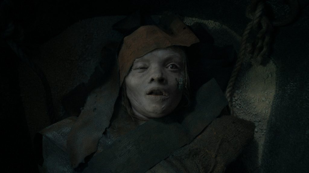 Lee Cronin's The Mummy (Source: IMDB)